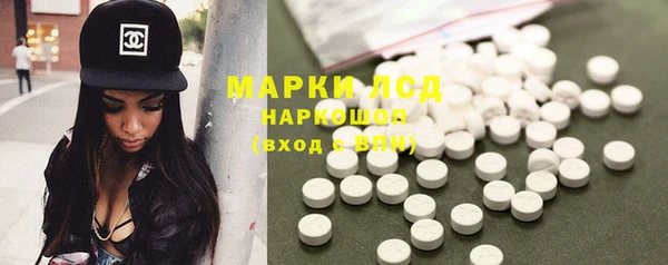 прущие грибы Грязи