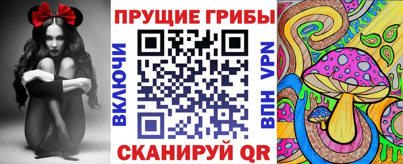 цены наркотик  Дмитровск  Псилоцибиновые грибы Psilocybine cubensis 